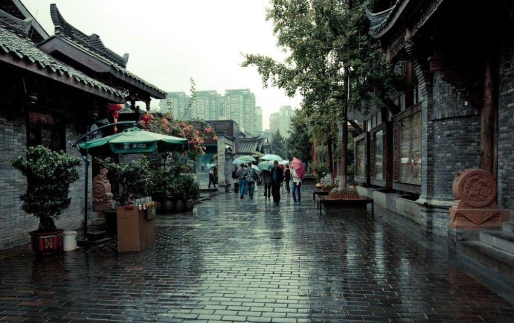 拯救蝙蝠家族