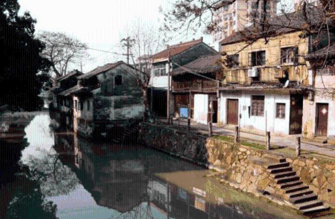 小香菇引领村民走上“致富路”